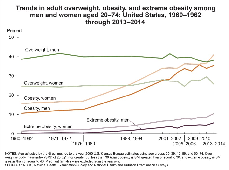 Otyłość i nadwaga w USA na wykresie