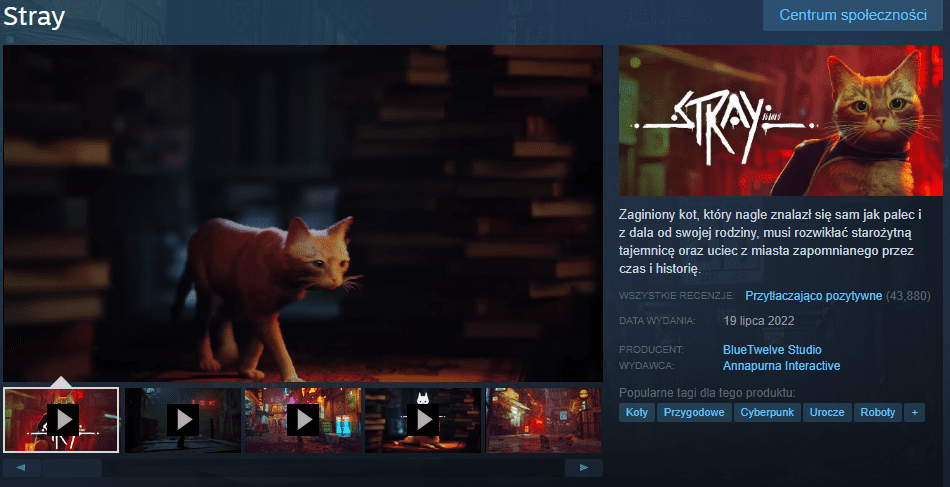 Stray, czyli gra o kocie najlepiej ocenianą grą na Steam