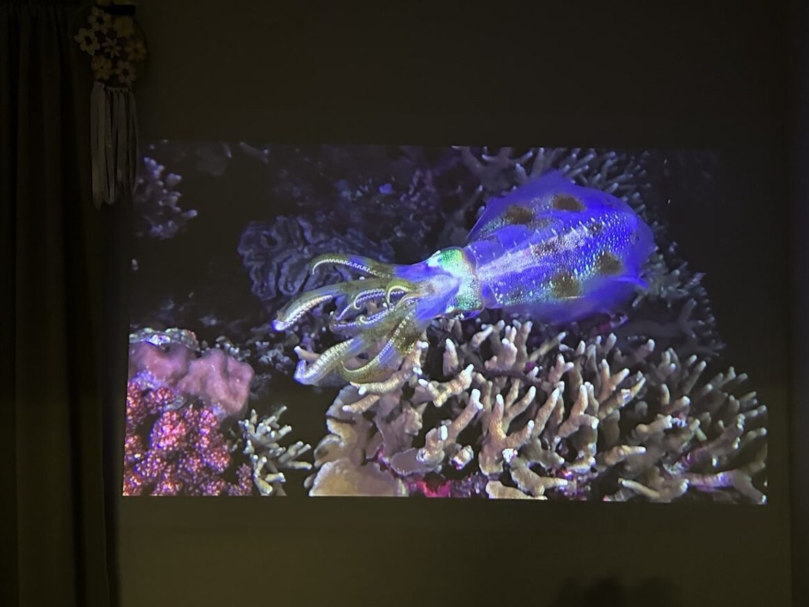 Anker Nebula Capsule II - test mobilnego projektora