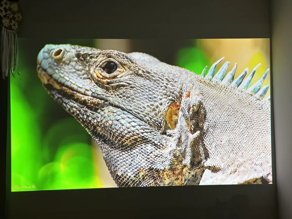 Jakość obrazu generowanego przez projektor Samsung The Freestyle.