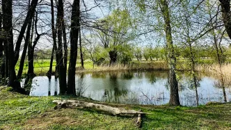 Marka MOVA radzi jak skutecznie pozbyć się z domu kurzu i alergenów.