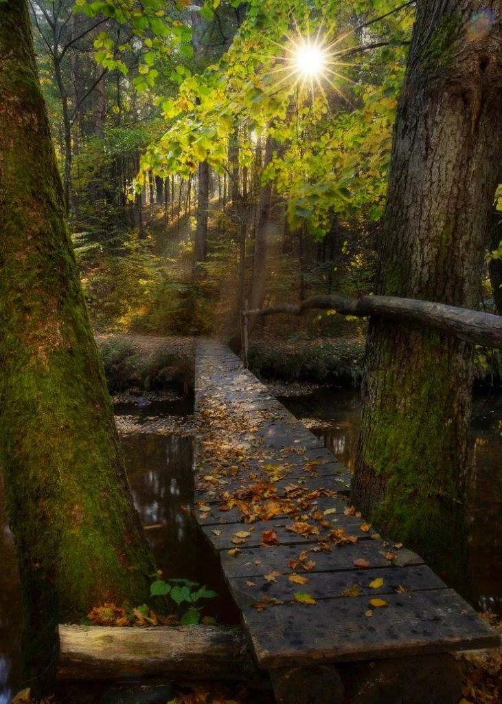 TrekTours zaprasza 7.06 do Skarżysko-Kamiennej. Zobacz! TrekTours i Columbia zapraszają na rajd pieszy w Skarżysko-Kamiennej. Fot. Krystian Drożdż.