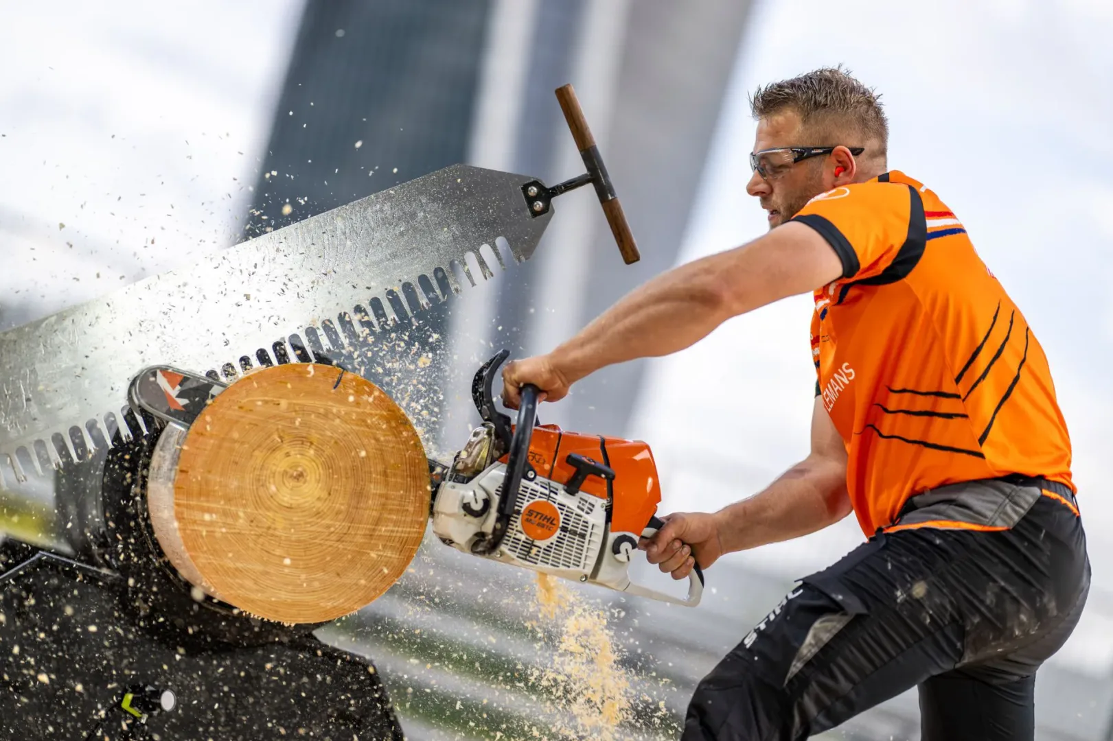 STIHL TIMBERSPORTS European Trophy.