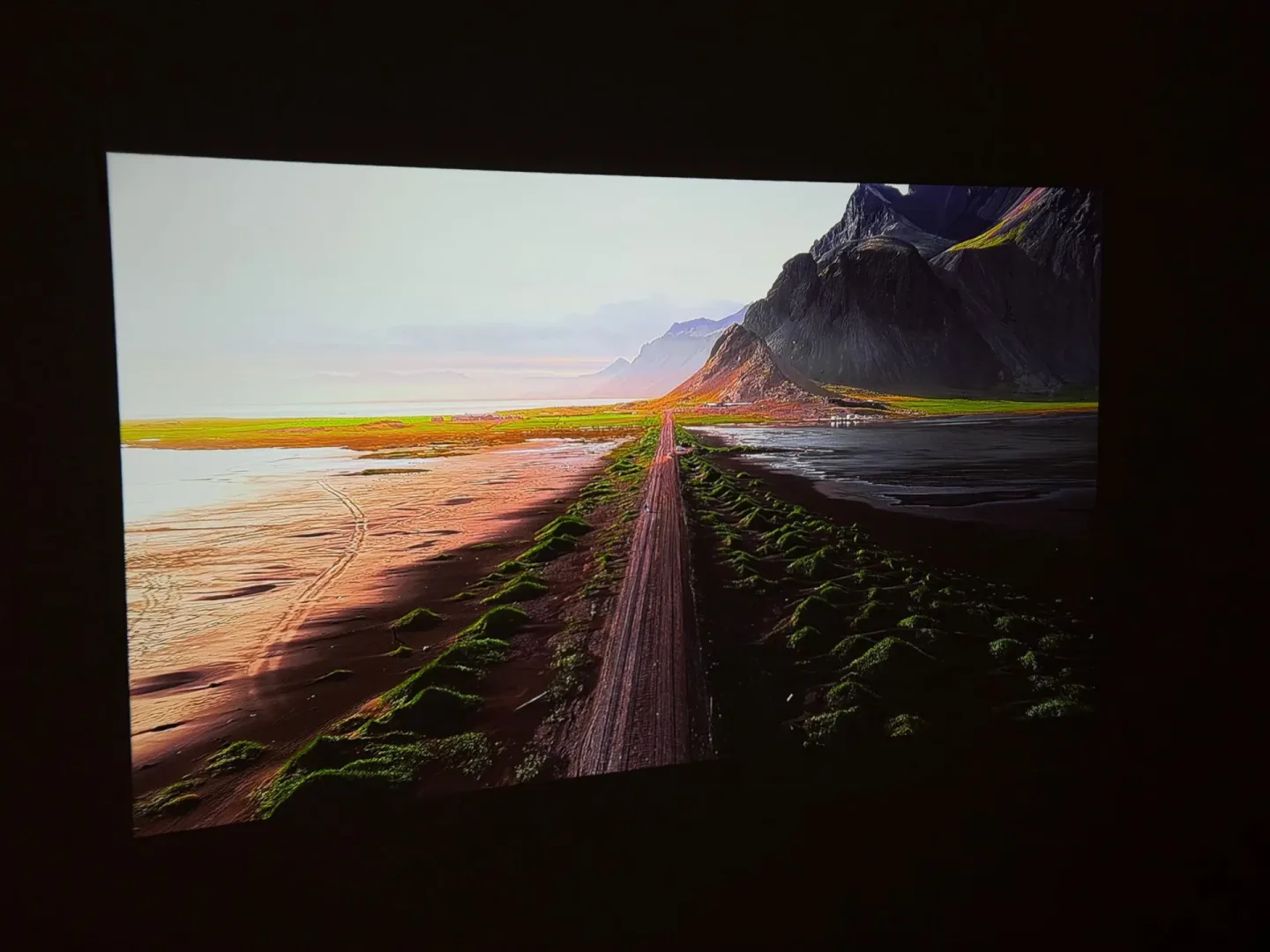 Test ETOE Whale Pro.