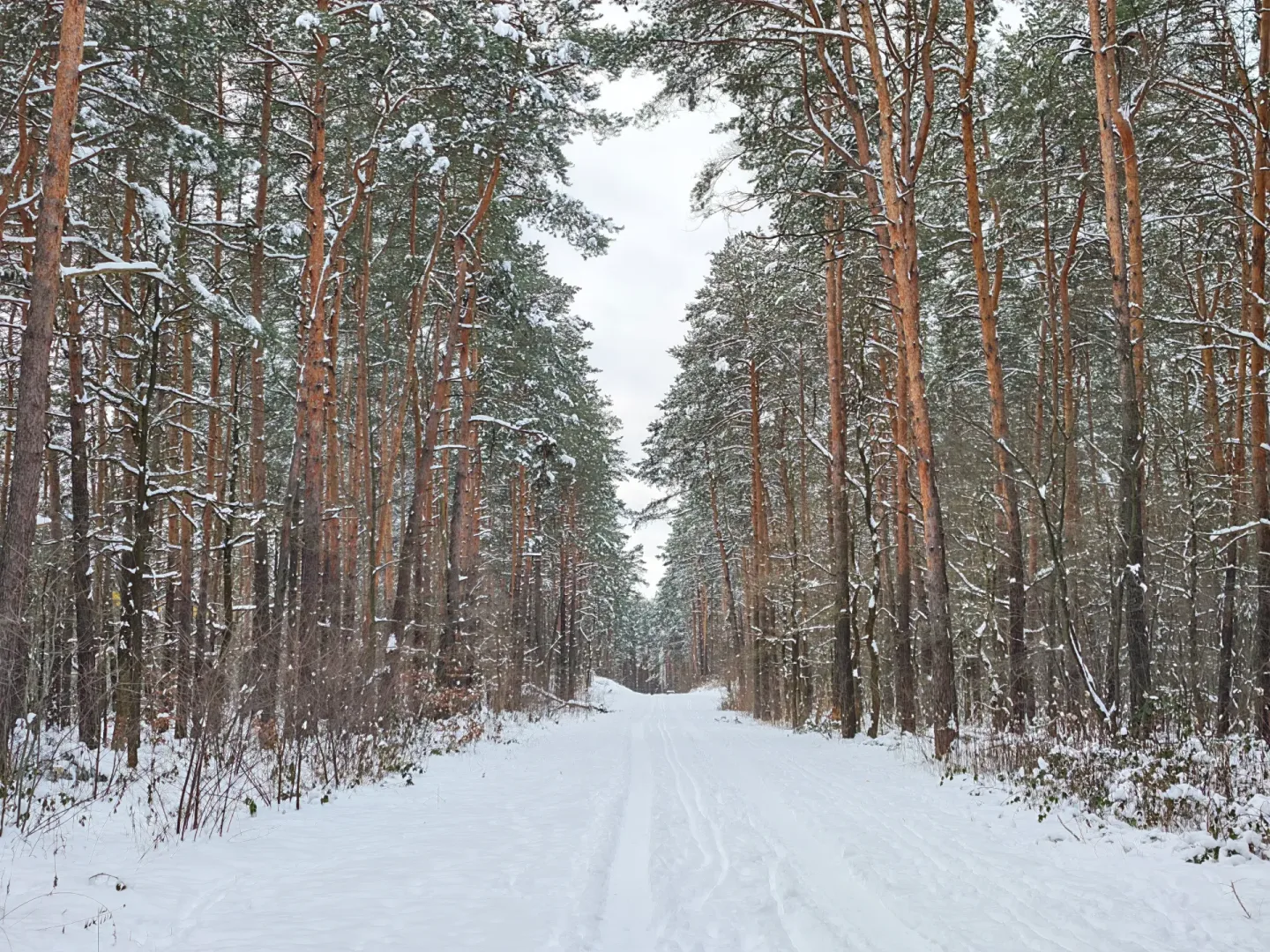 Przetestowałem Honor Magic8 Pro. Warto kupić ten smartfon? Zimowa sceneria: Honor Magic8 Pro.