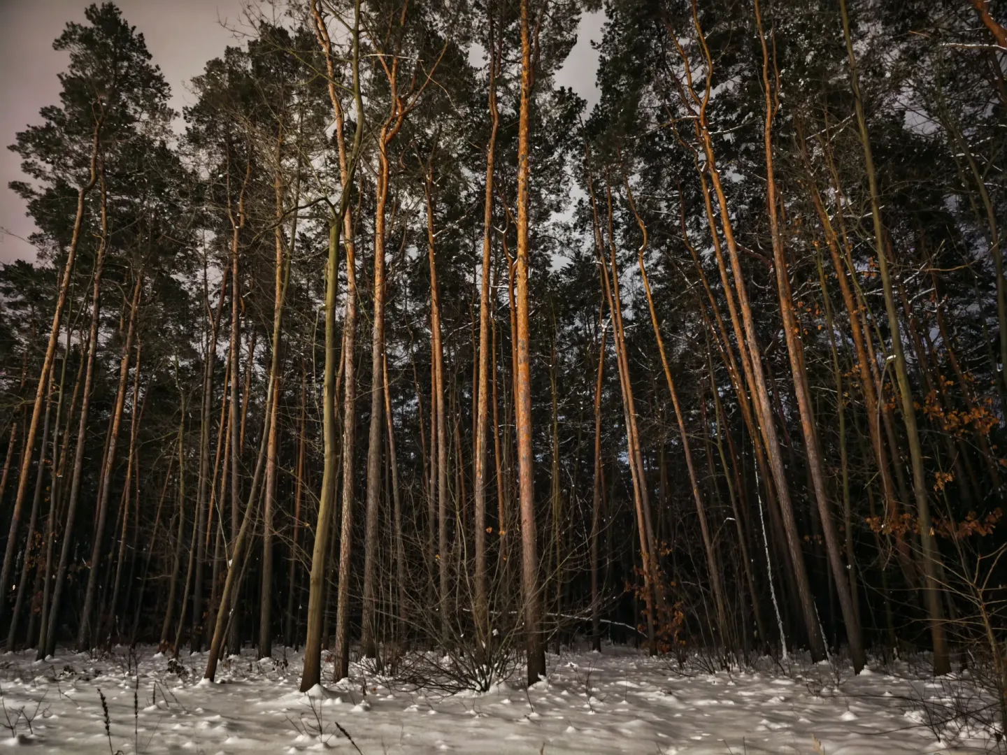 Przetestowałem Honor Magic8 Pro. Warto kupić ten smartfon? Honor Magic8 Pro - zdjęcie nocne.