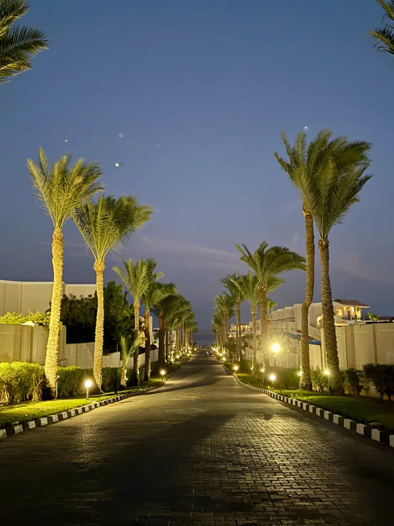 Według Skyscanner warto rozważyć te kierunki, bo będą najtańsze w 2026