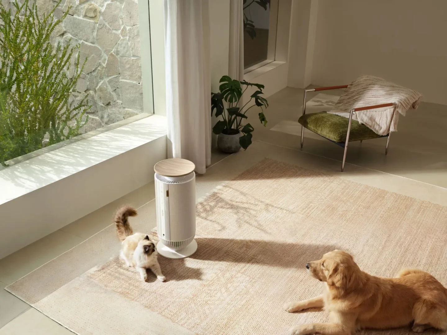 Nowe oczyszczacze powietrza MOVA. Na zdjęciu model Puris P10.