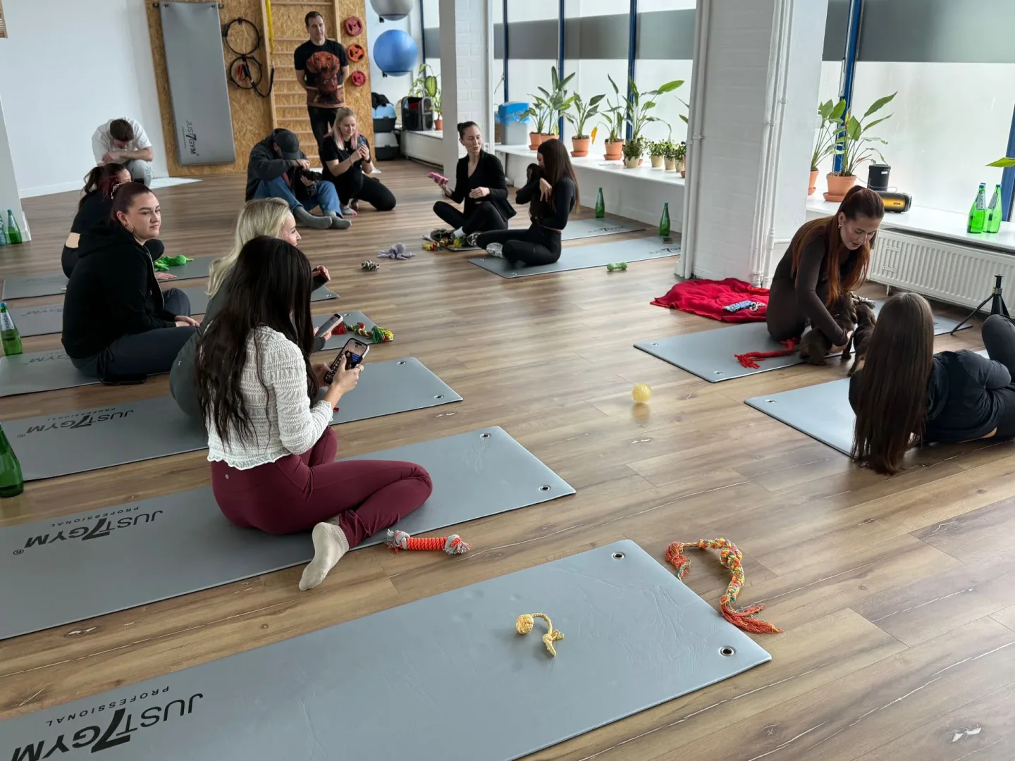 Uszy Do Góry x MOVA