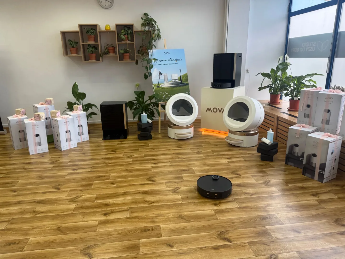 Uszy Do Góry x MOVA