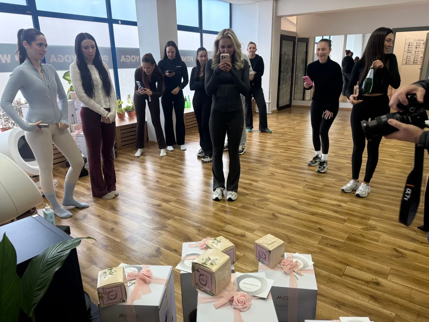 Uszy Do Góry x MOVA