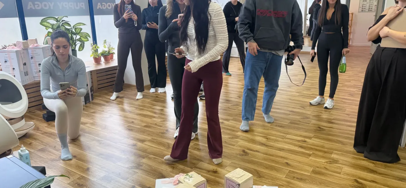 Uszy Do Góry x MOVA