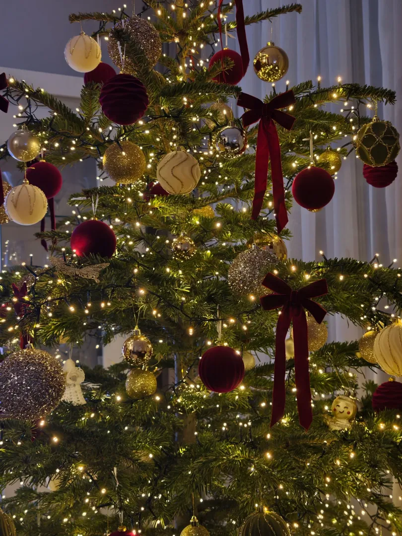 aparat główny x300