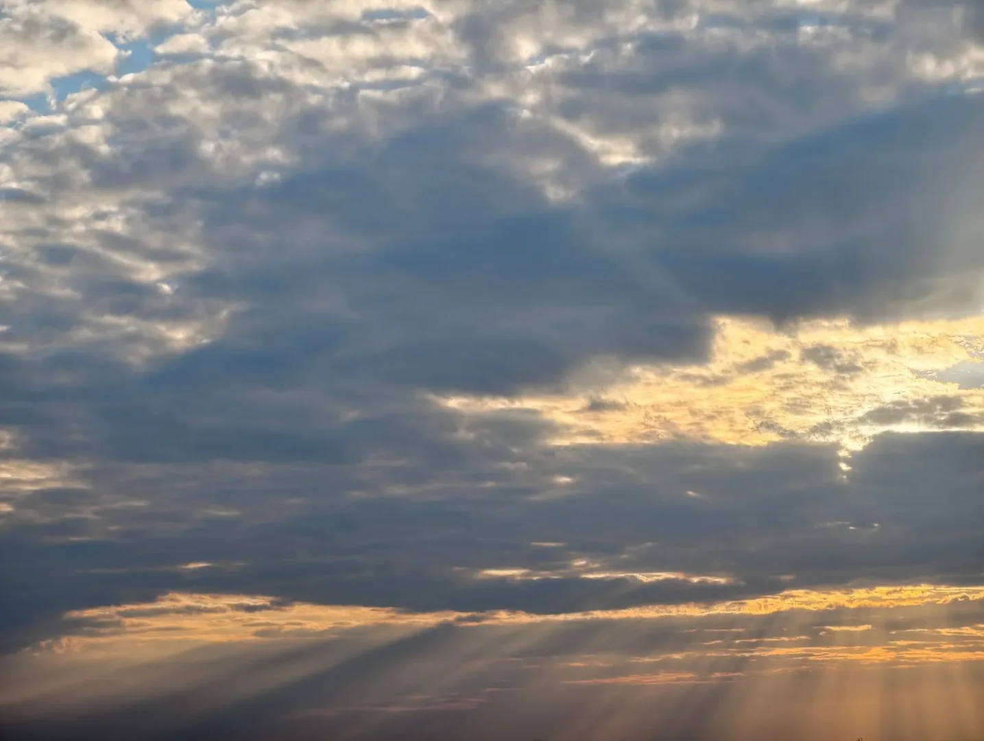 aparat główny vivo x300