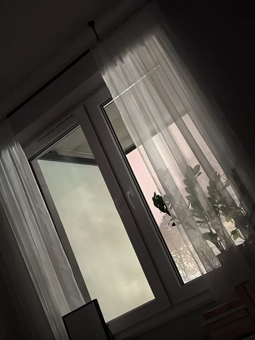 aparat główny x300