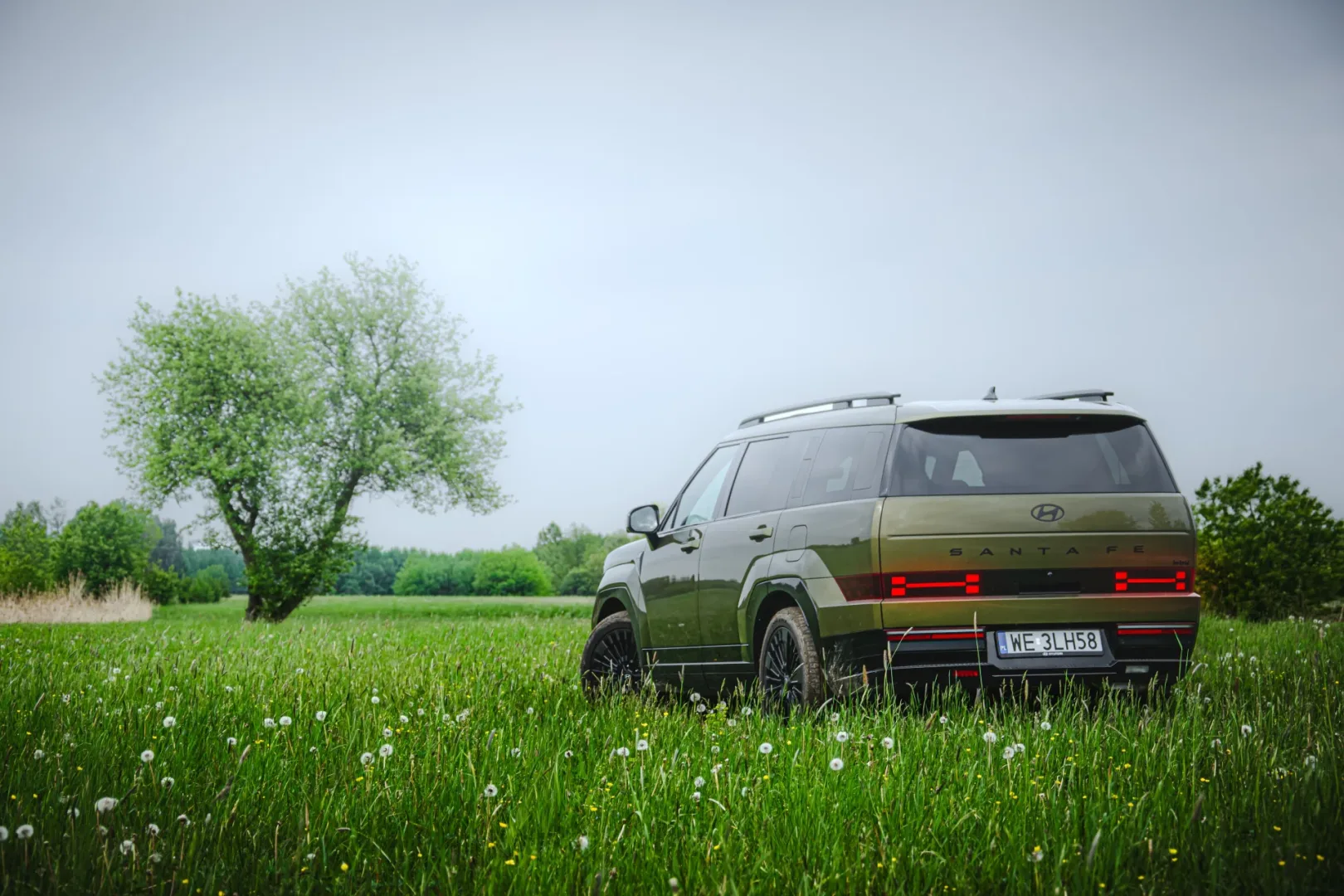 Hyundai Santa Fe HEV Calligraphy. Fot.: Ernest Dragan