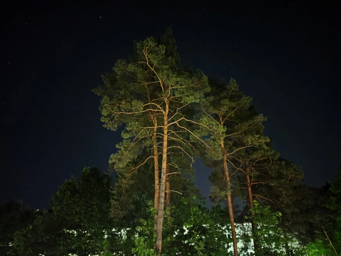 Przetestowałem realme 16 Pro+. Wielka bateria, wielki zoom Fot realme 16 Pro+.