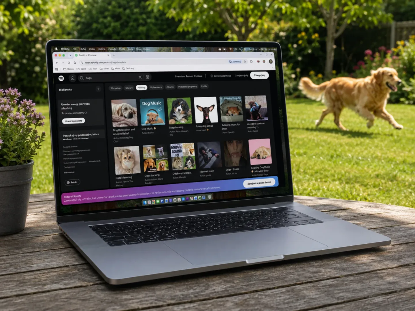 Amerykańskie psy mają playlisty na Spotify. To już ten etap Amerykańskie psy mają własne playlisty na Spotify.