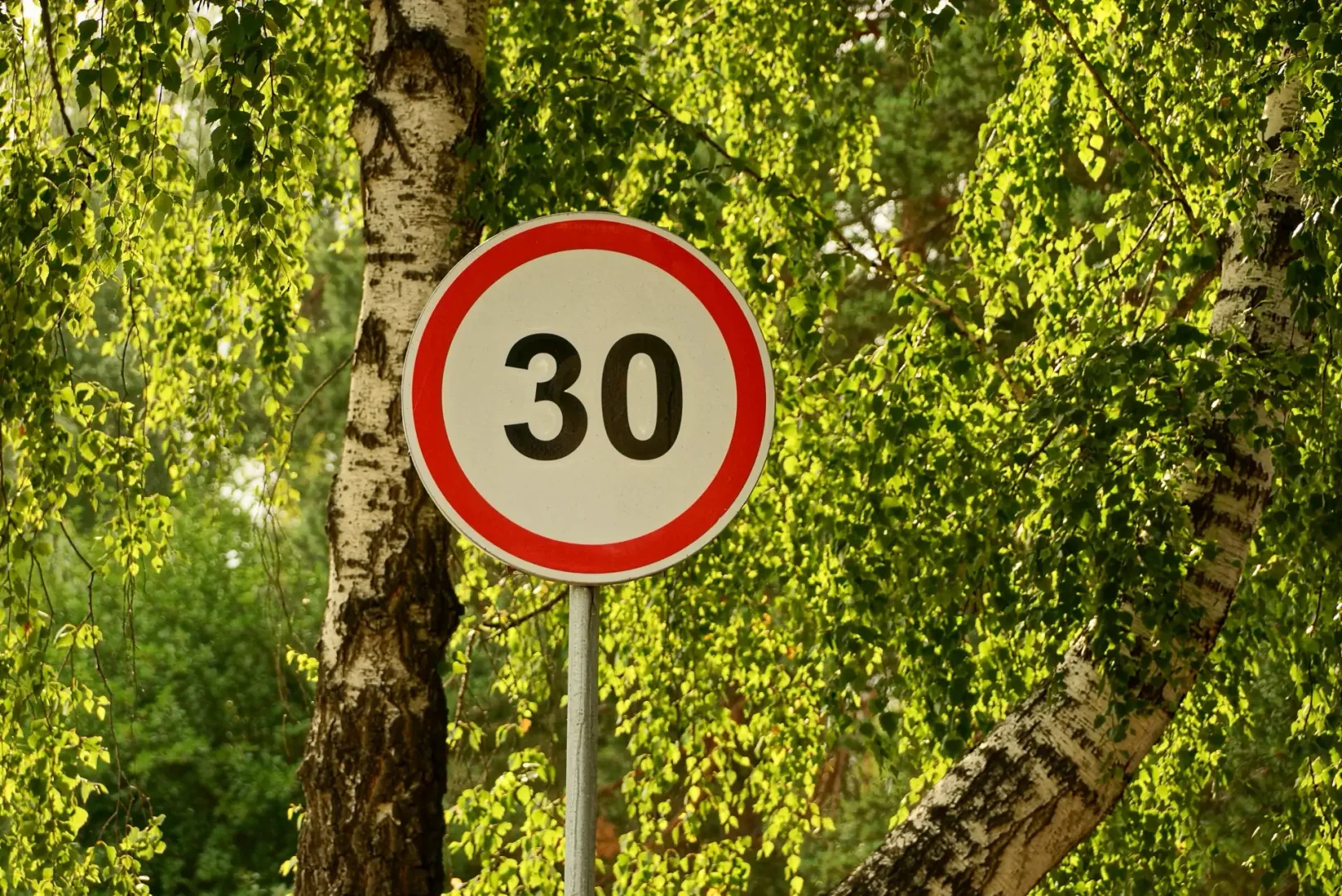 Limit 32 km/h w Anglii? Kierowcy protestują Limit 32 km/h w Anglii? Kierowcy protestują