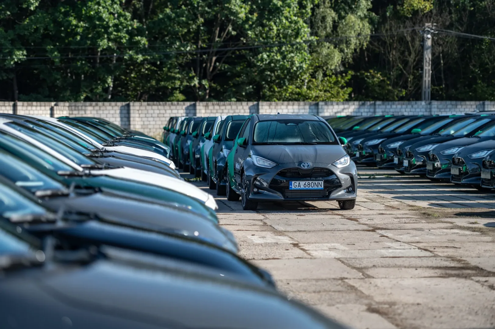 Bolt Drive w Warszawie. Źrodło zdjęcia: Toyota News.