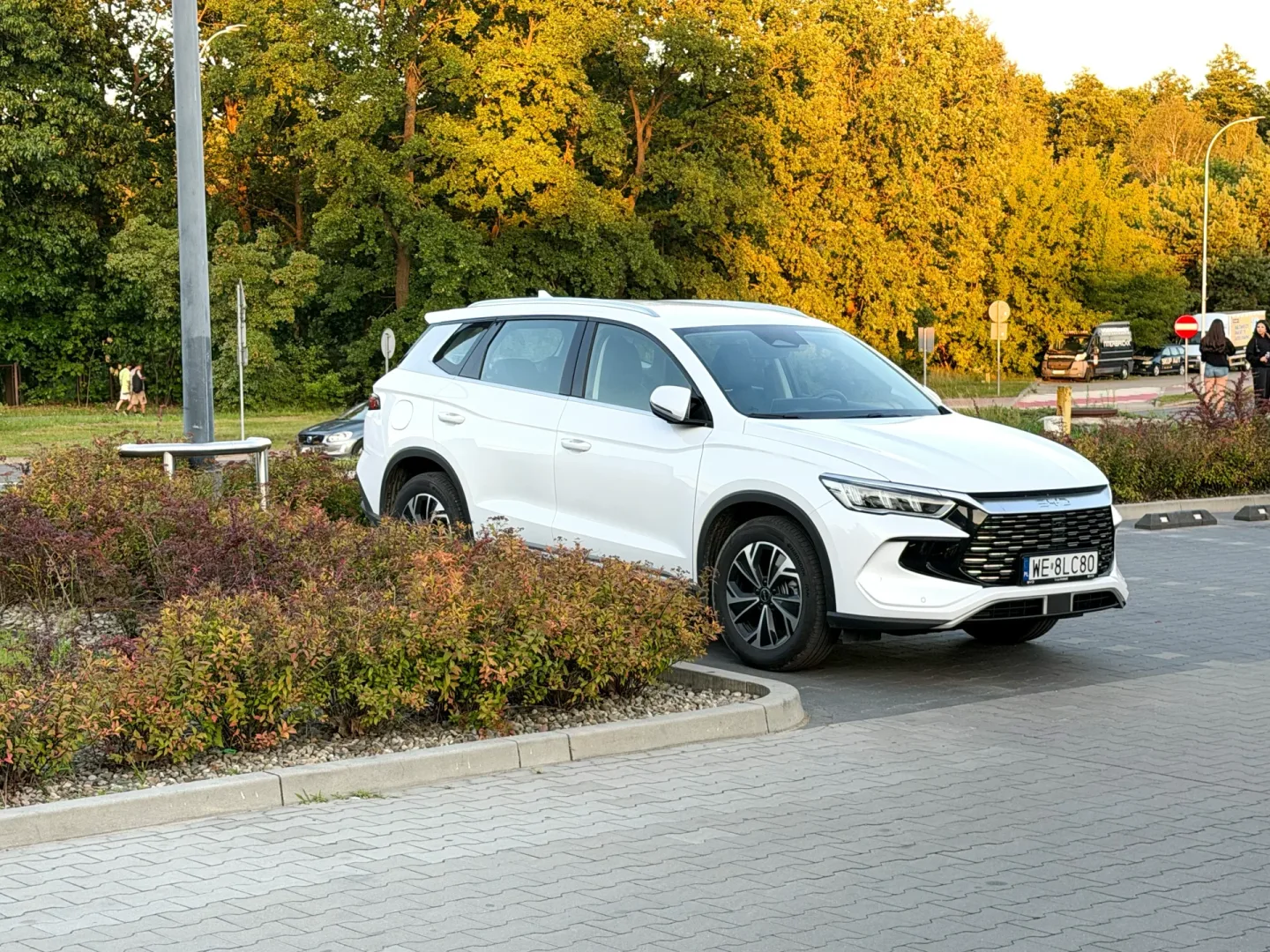 BYD Sealion 5 DM-i