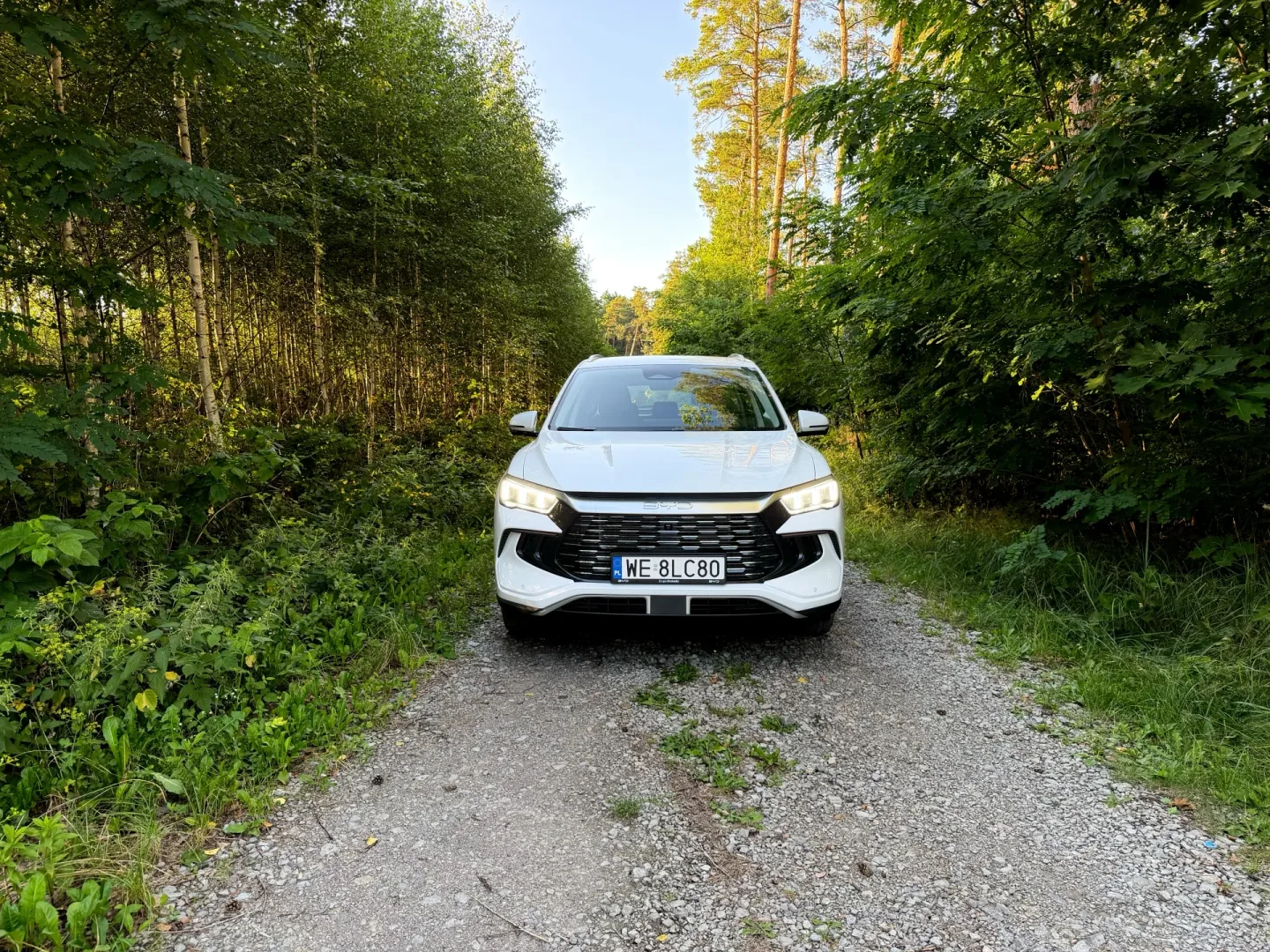BYD Sealion 5 DM-i