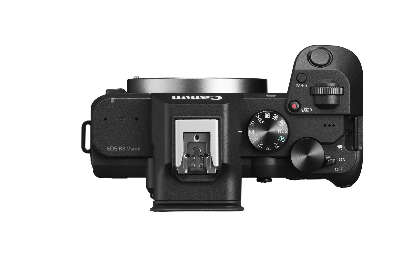 Canon EOS R8 Mark II. Mały korpus, duże możliwości Canon EOS R8 Mark II. Mały korpus, duże możliwości