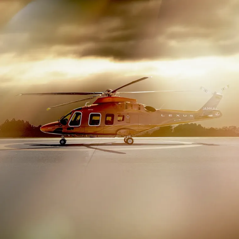 Lexus Flight