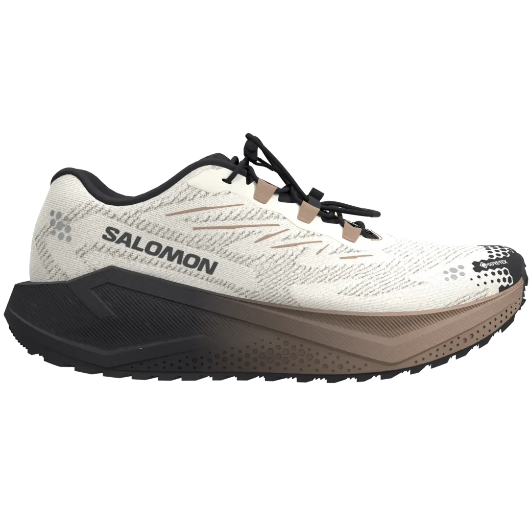Salomon Aero Blaze 4 GRVL GTX