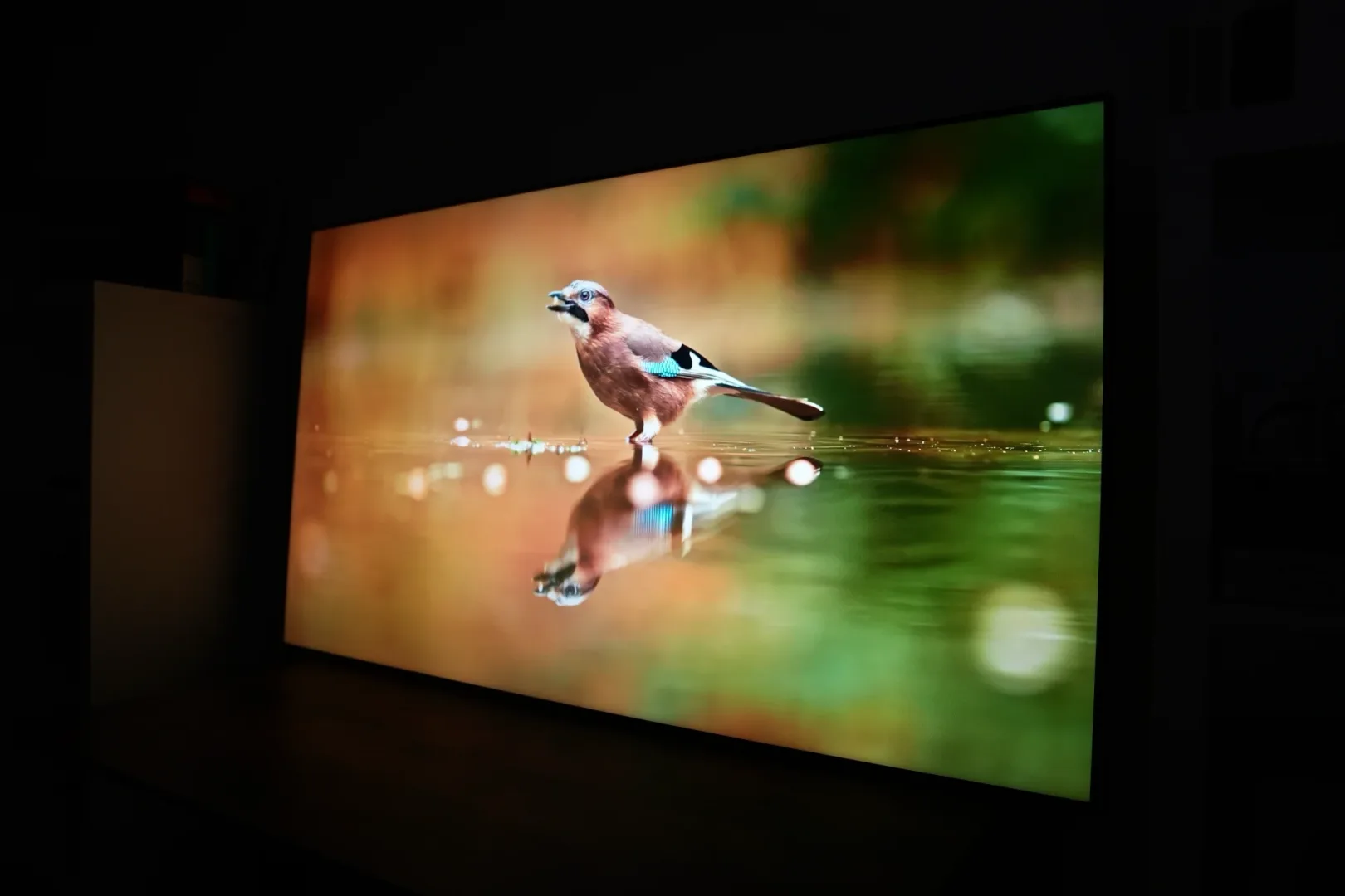 Sony BRAVIA 7 II K-65XR75M2