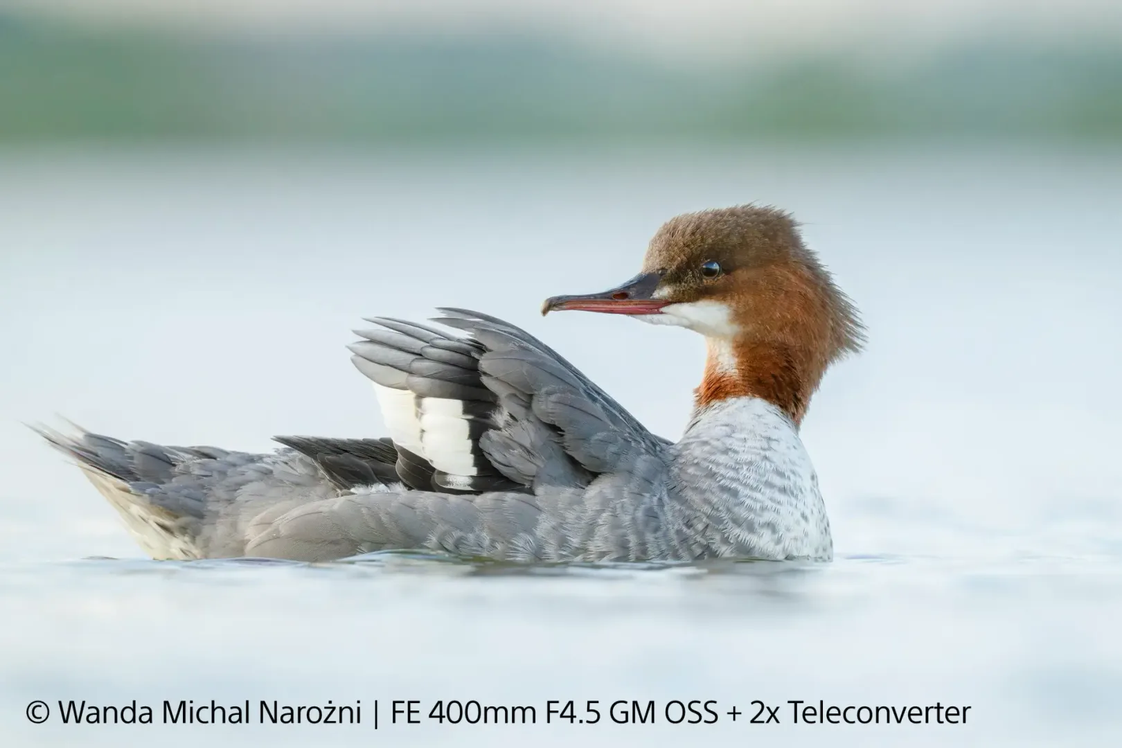 Sony G Master 400 i 600 mm