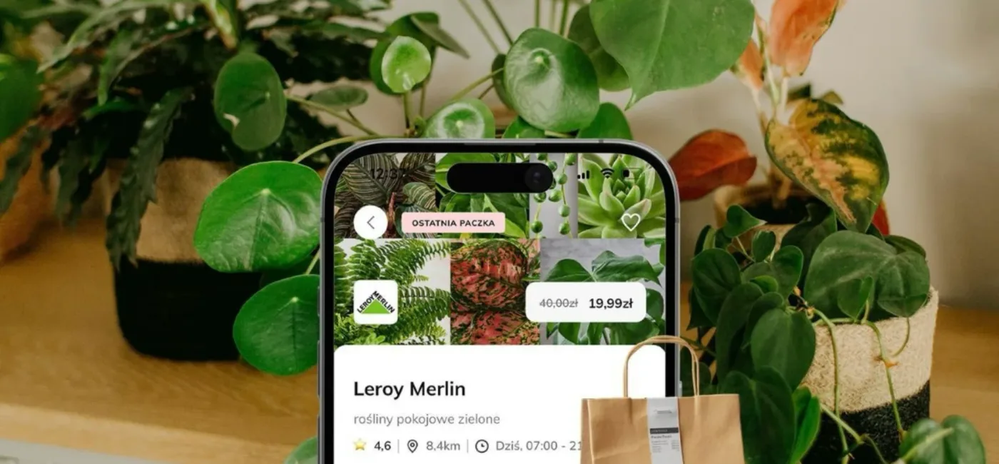 Rośliny z Leroy Merlin w Foodsi