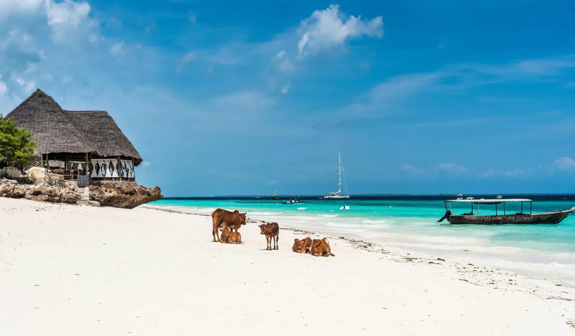 Wakacje na lato 2027 - zdjęcie z Zanzibaru